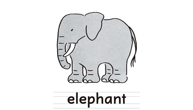 elephant