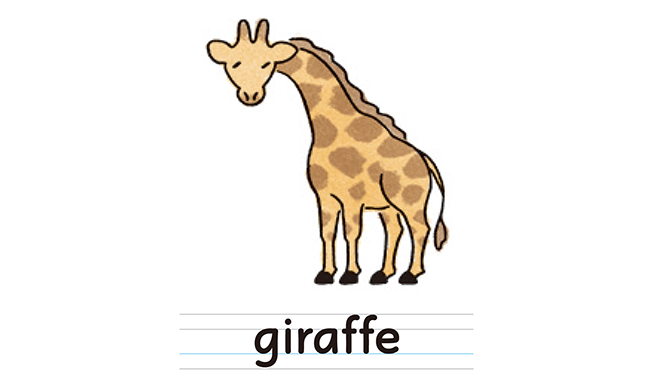 giraffe