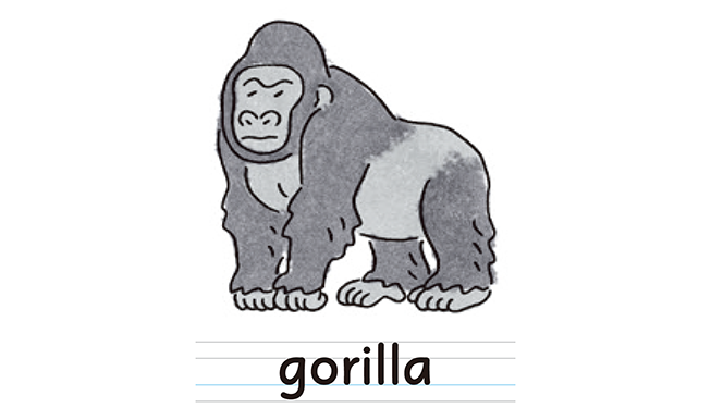 gorilla