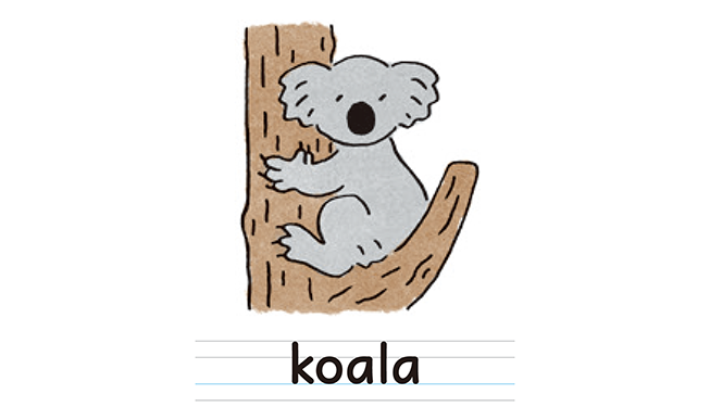 koala