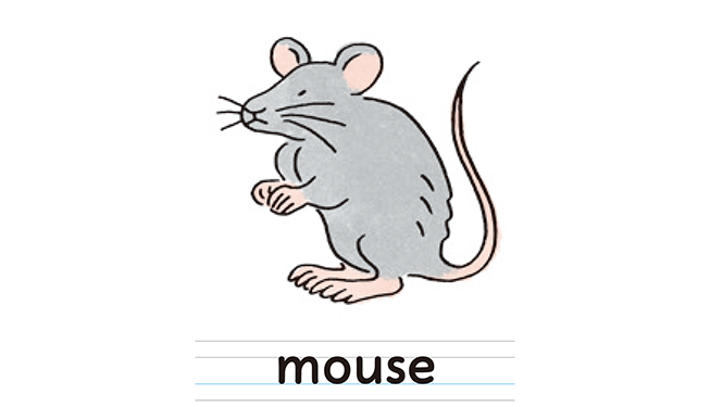 mouse