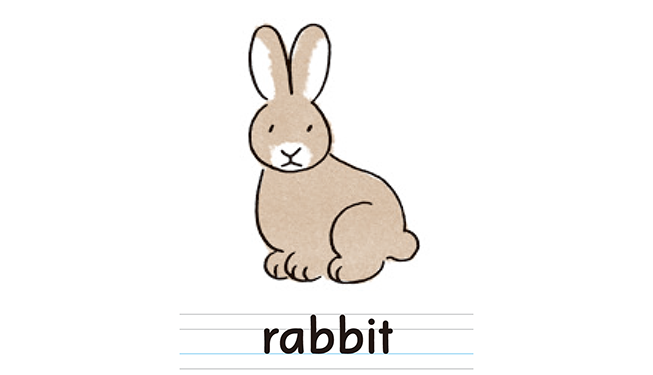 rabbit