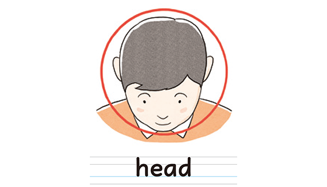 head