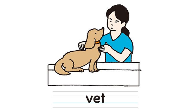 vet