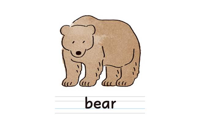bear