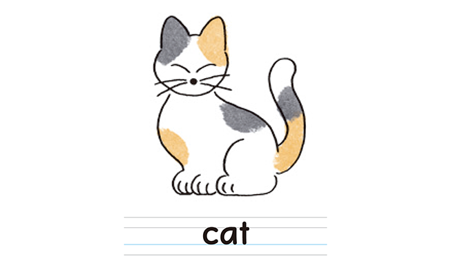 cat