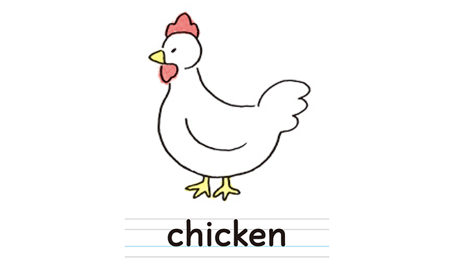 chicken