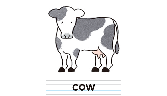 cow