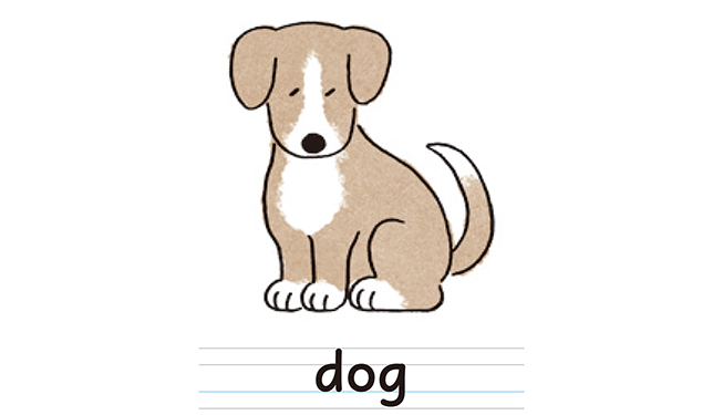 dog