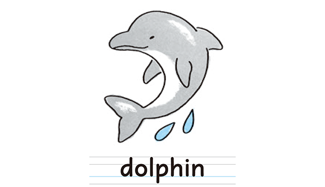 dolphin