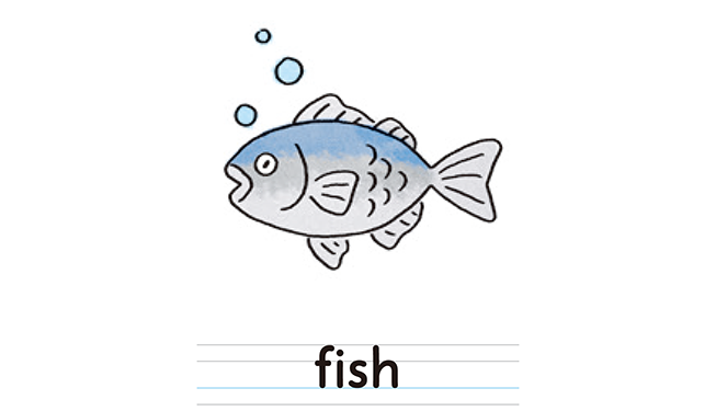 fish