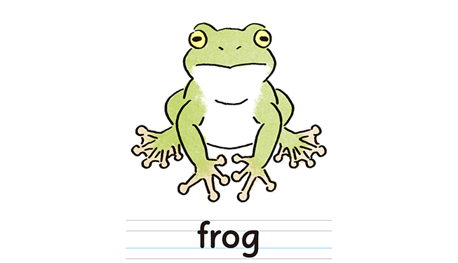 frog
