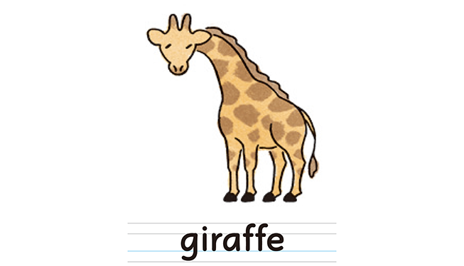 giraffe
