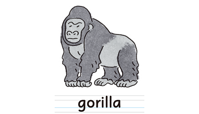 gorilla