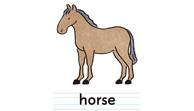 horse