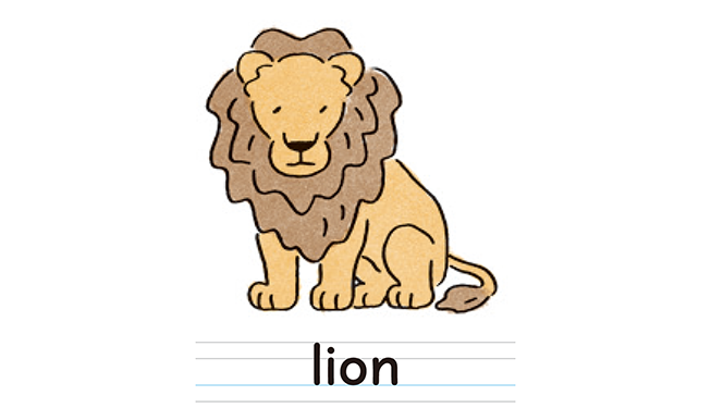 lion