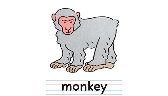 monkey