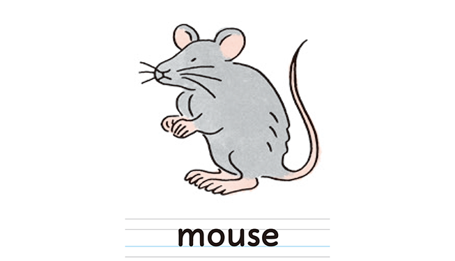 mouse
