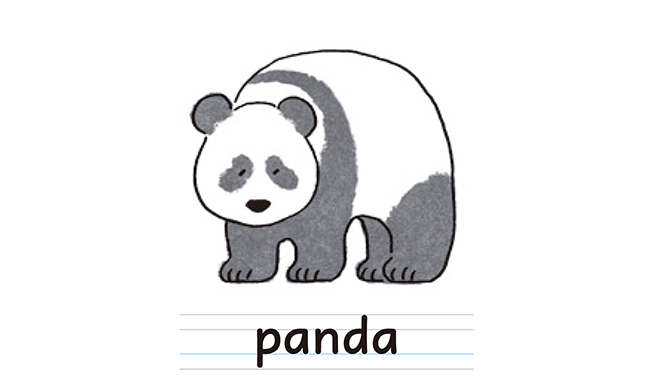 panda