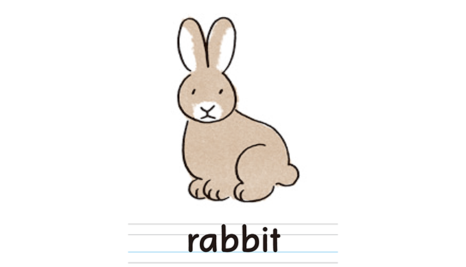 rabbit