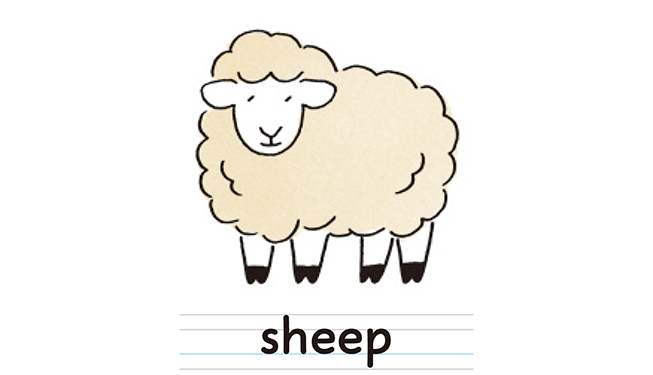 sheep