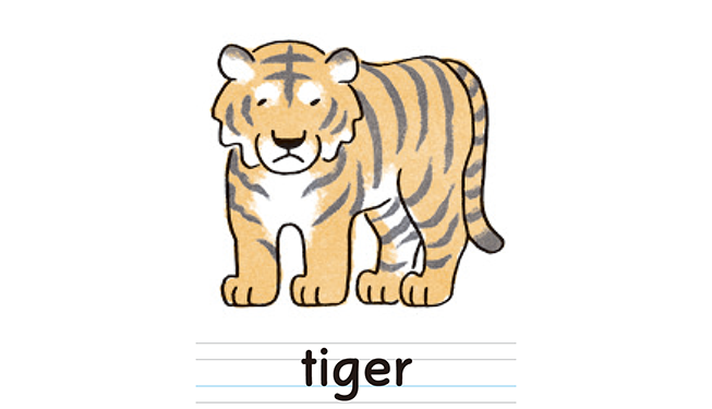 tiger