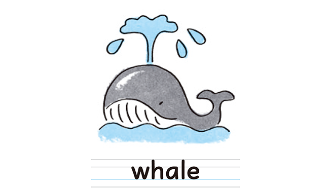 whale