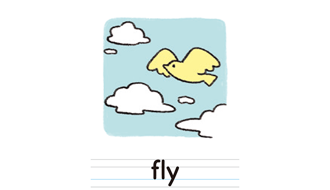 fly