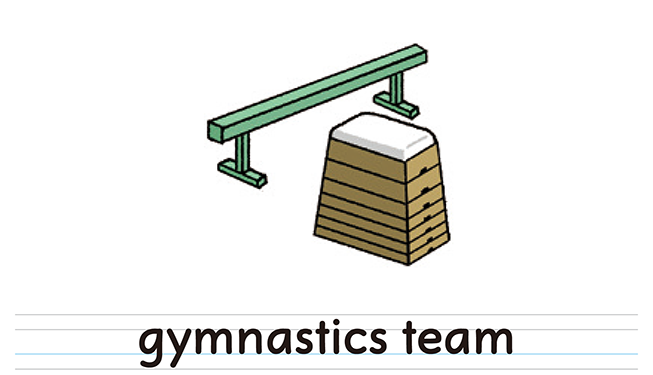 gymnastics team