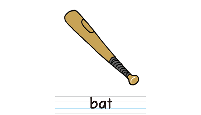 bat