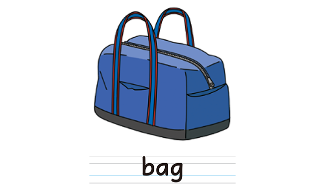 bag