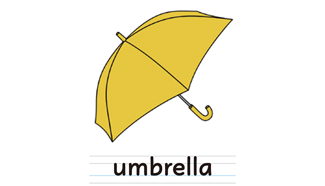 umbrella