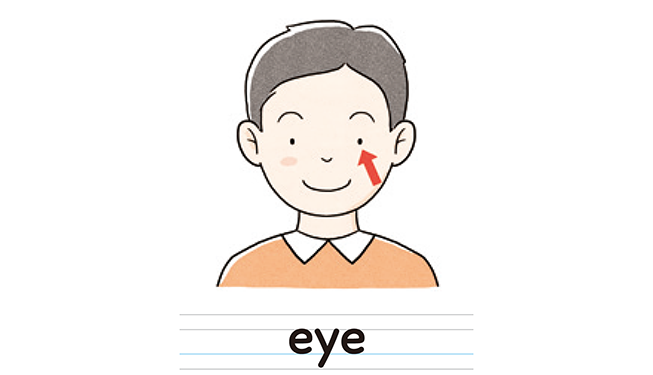 eye