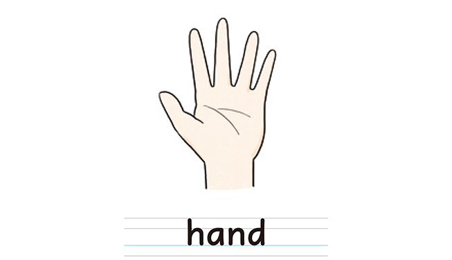 hand