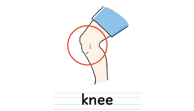 knee