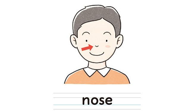 nose