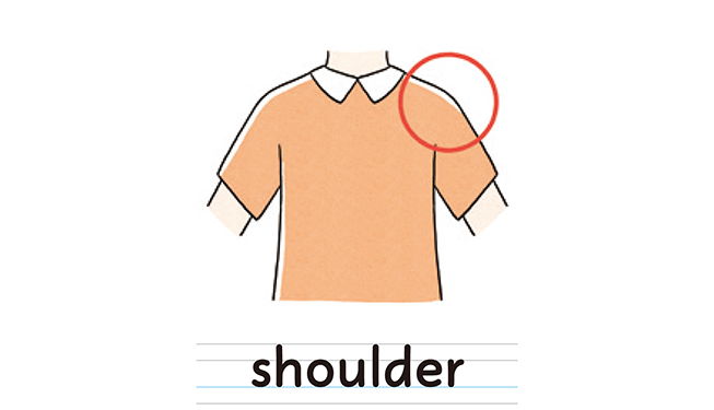 shoulder