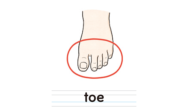toe
