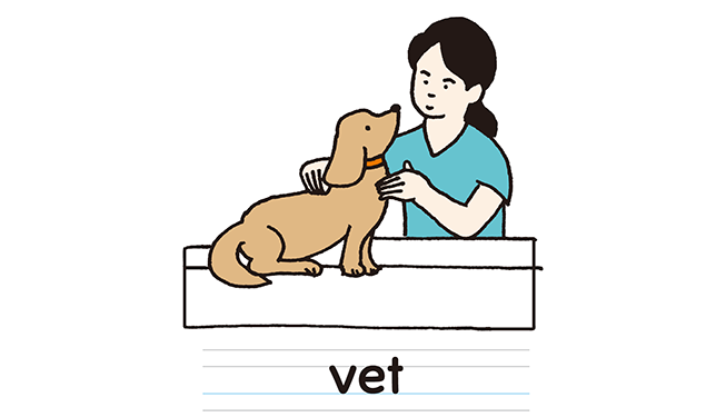 vet
