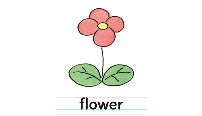 flower