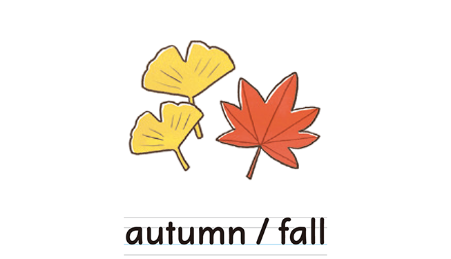 autumn/fall