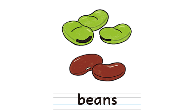 beans