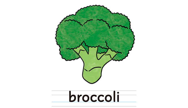 broccoli