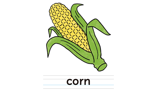 corn