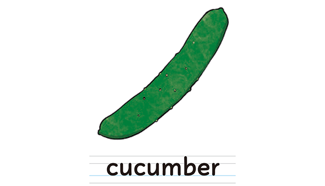 cucumber