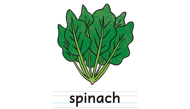 spinach