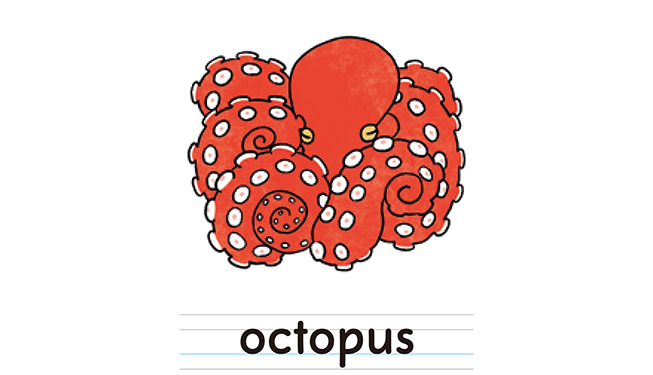 octopus