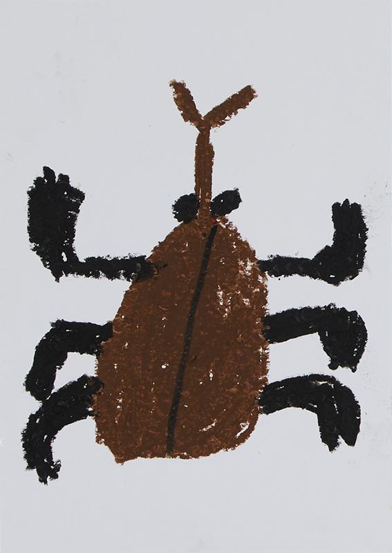 カブトムシ［19×14cm］