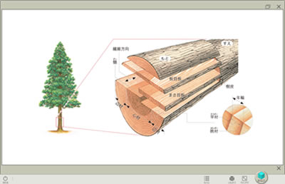 画像の一発拡大