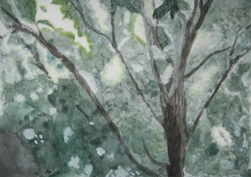 風景「樹木、光」
